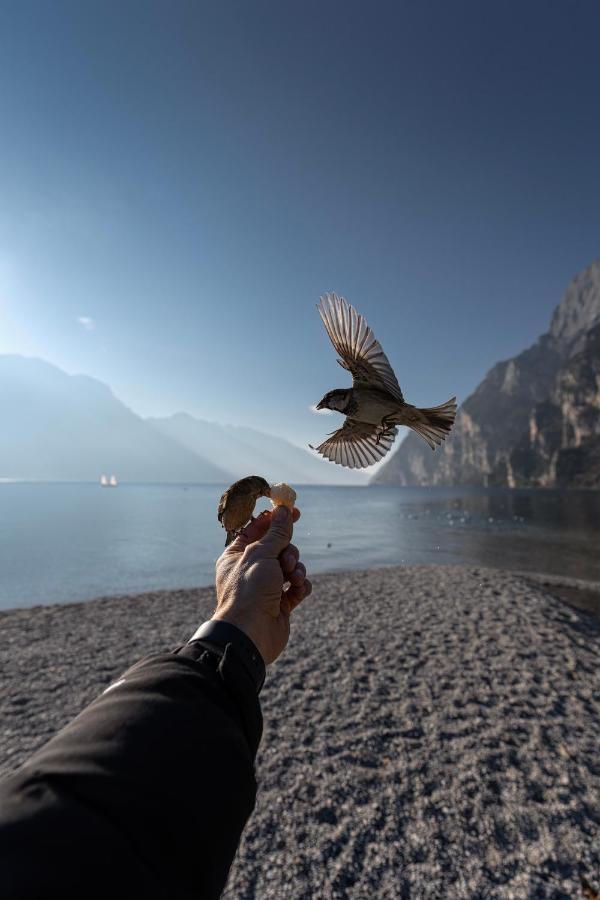 Le Calle Holiday Apartments Torbole Sul Garda Dış mekan fotoğraf